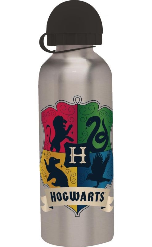 ALU fľaša Harry Potter silver 500 ml