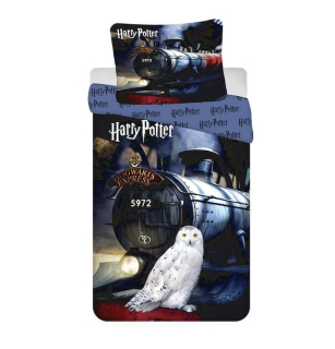 Obliečky Harry Potter HP111 140/200, 70/90